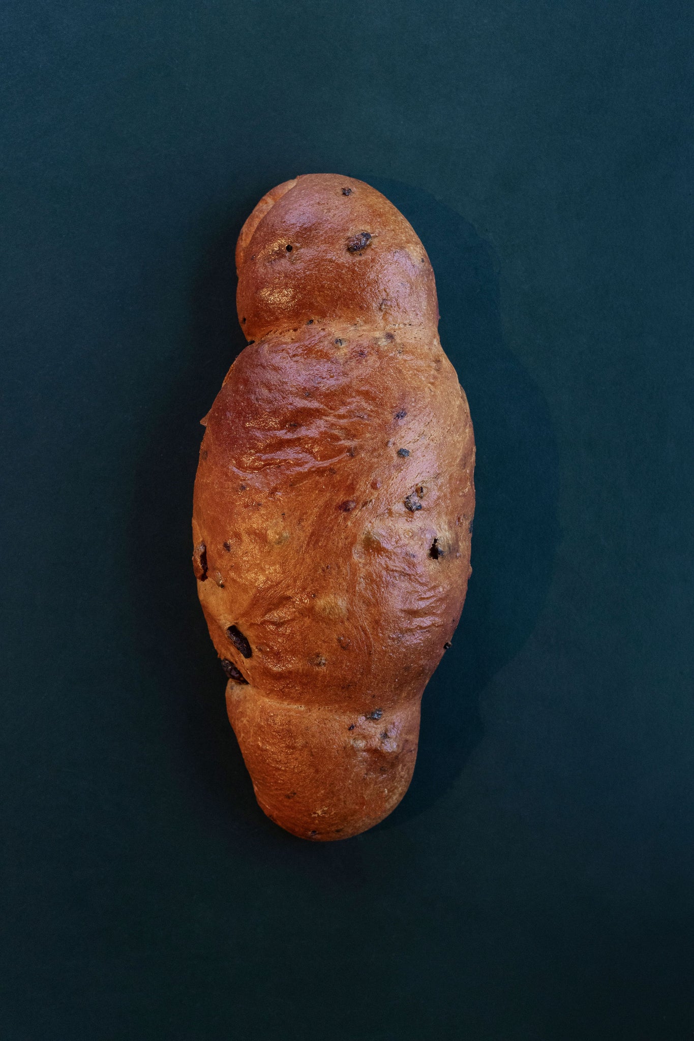 Cougno-druiven/vlierbessen