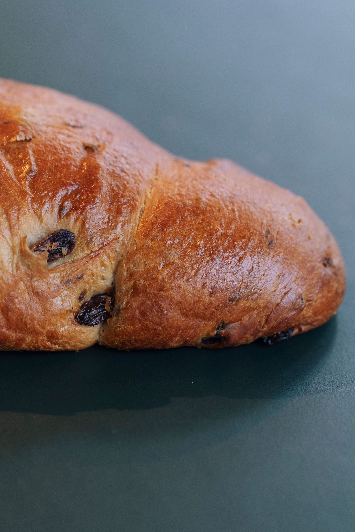 Cougno-druiven/vlierbessen