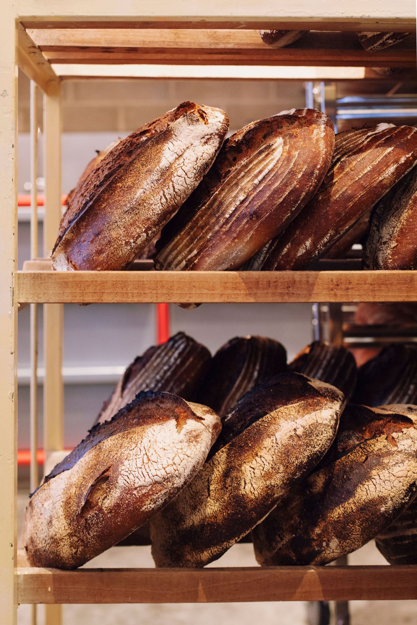 SIGNATURE Zaden brood (1 kg)